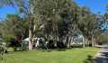 Kui Parks, Diamond Waters Caravan Park, Dunbogan, Caravan Sites