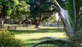 Kui Parks, Trinity Plains Tourist Park, Mareeba