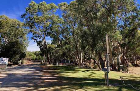 Kui Parks, Melrose Caravan & Tourist Park, Sites