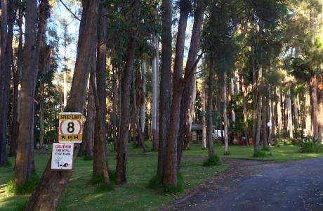 Kui Parks, Twin Dolphins Holiday Park, Tuncurry, Sites