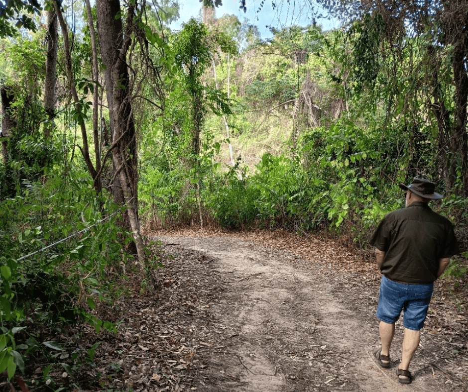 Crystal Creek Review walk