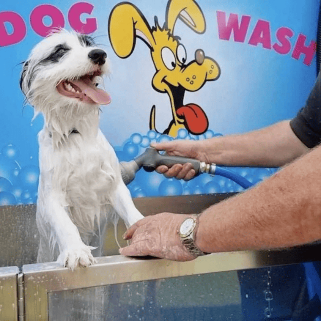 Rich River Tourist Park pet wash