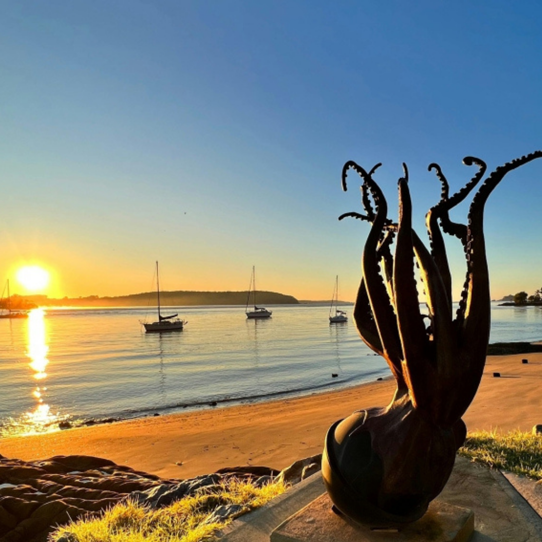 Sculpture for Clyde Dalmeny Campground Mystery Bay Campground Moruya North Head Campground Kui Parks Sunset Beach