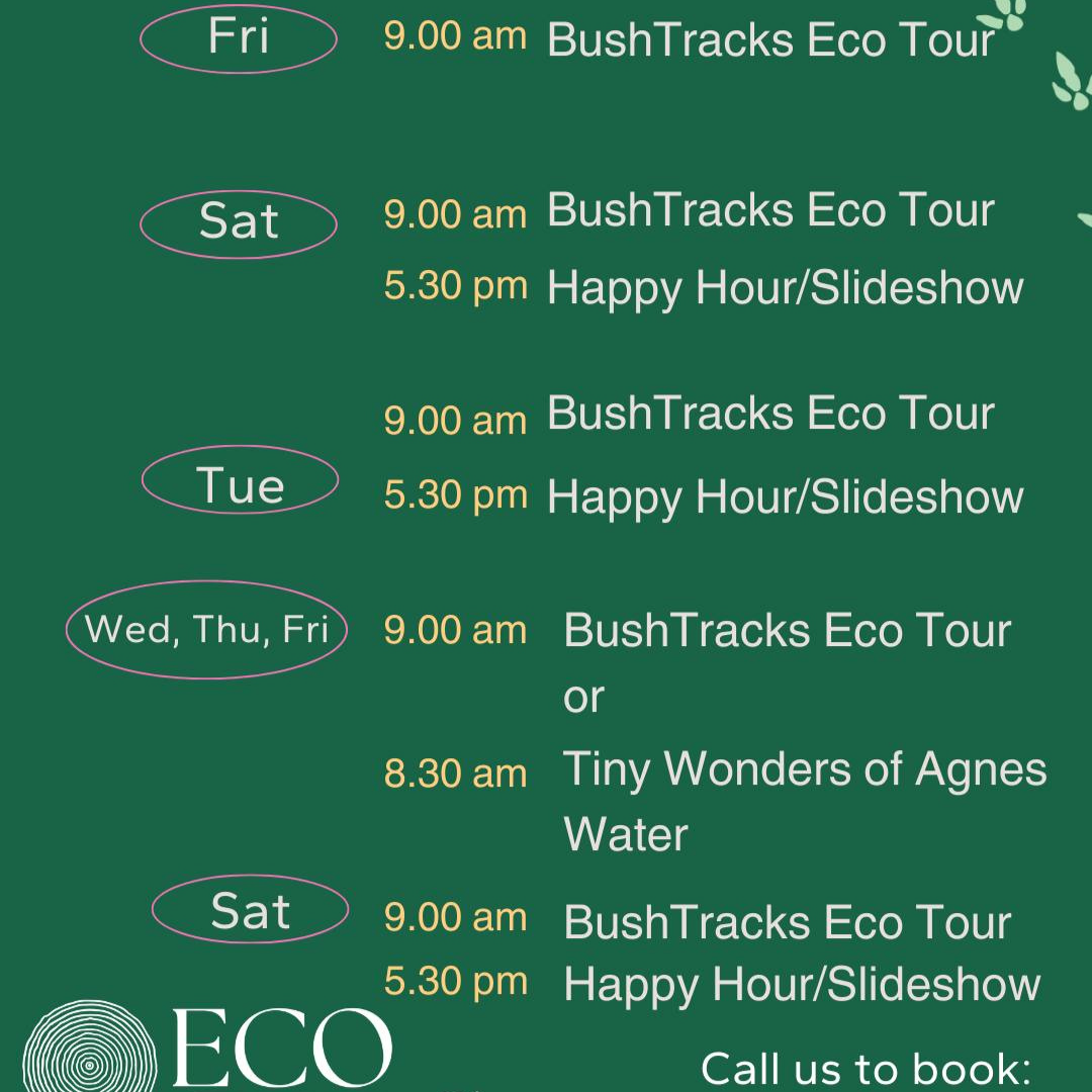 Easter Holidays Travellers Rest 1770 Eco Camping Kui Parks Nature walk School Holidays Program