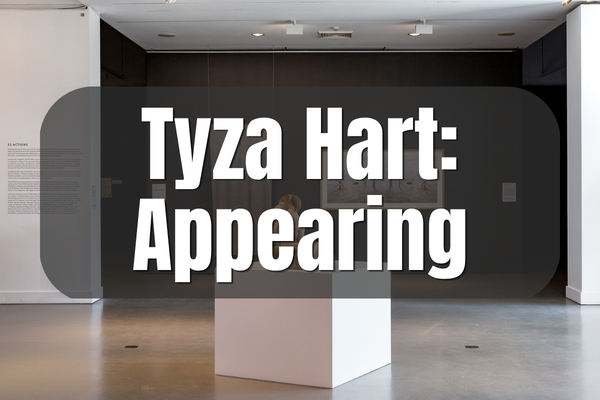 Tyza Hart: Appearing Art Gallery And Installation Standown Park Kui Parks