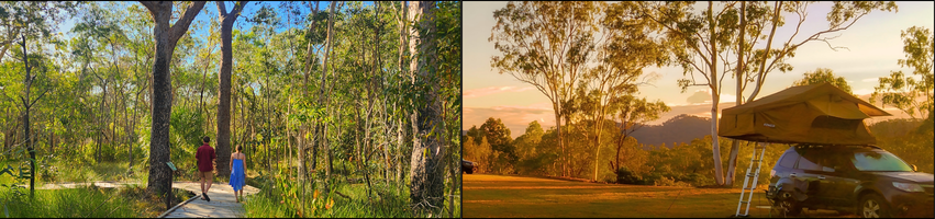 Queensland Road Trip Part 3 Kui Parks Gladstone Region Traveller's Rest 1770 Eco Camping Mount Larcom Tourist Park