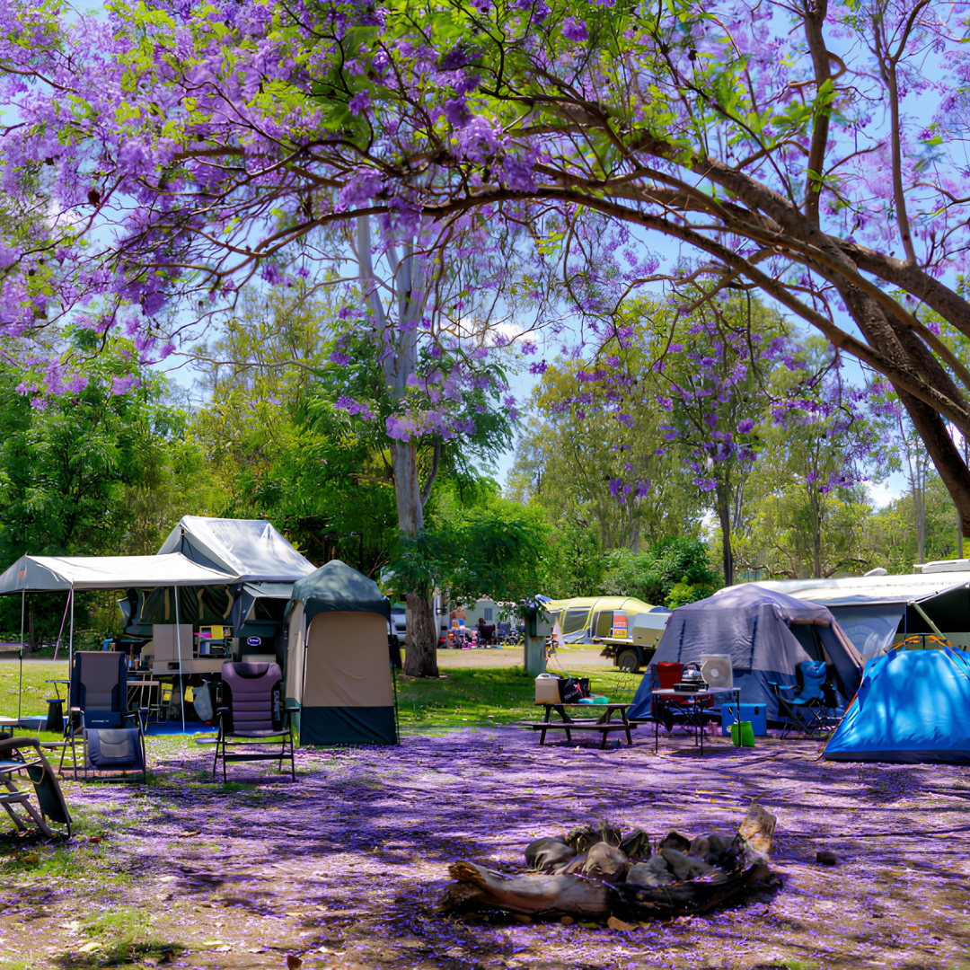 Kilkivan Bush Camping Kui Parks Campsite