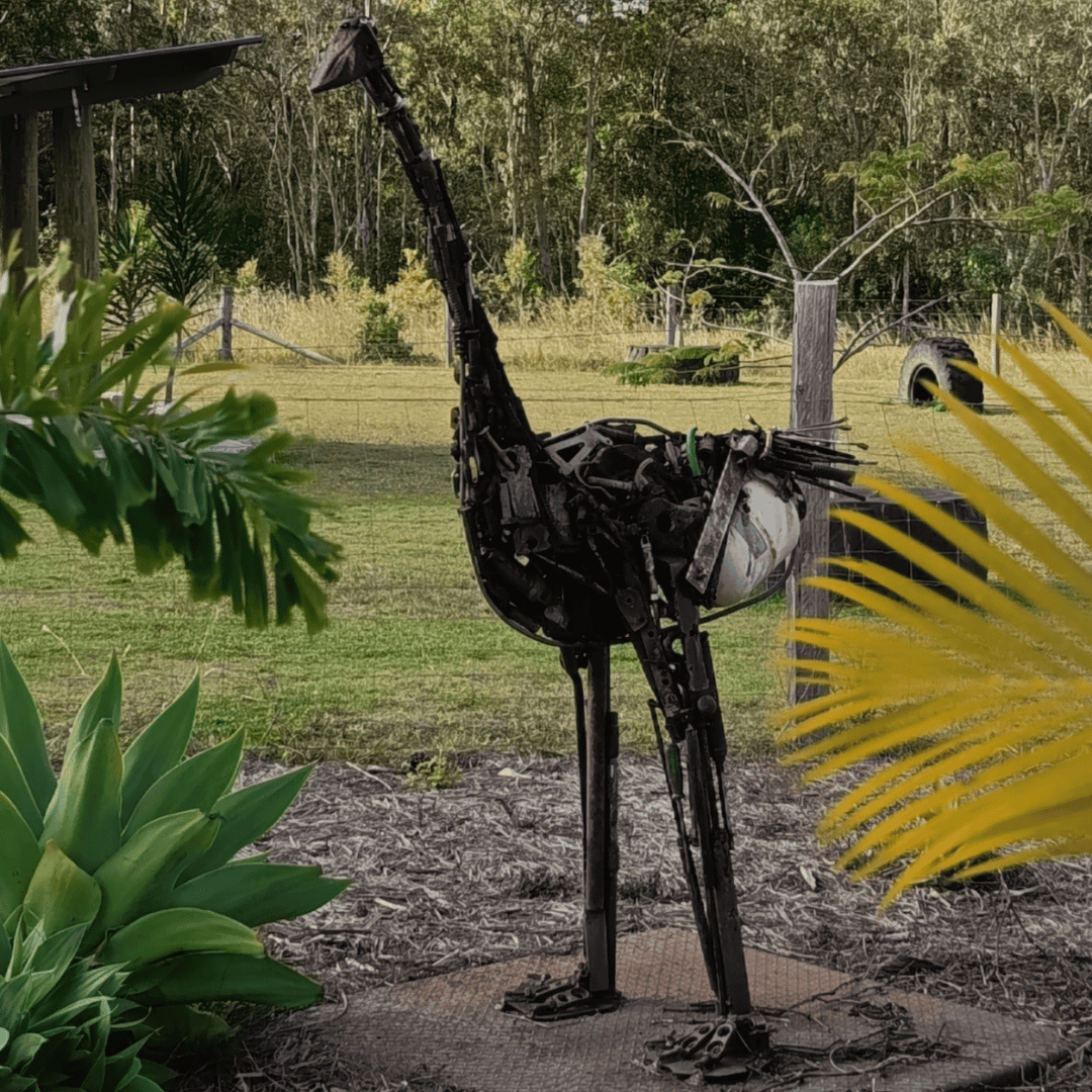 Emu Artwork