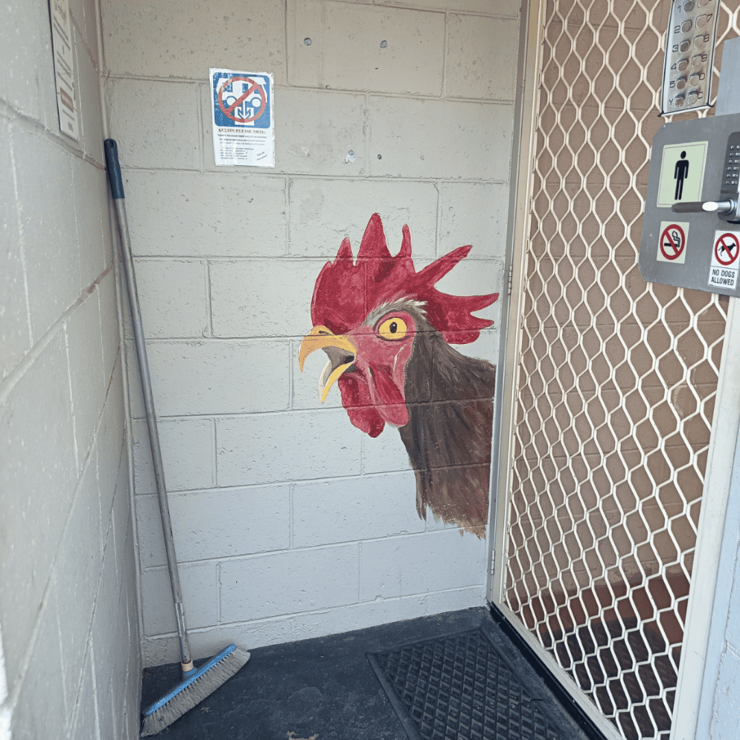 Mount Larcom Tourist Park Mens bathroom