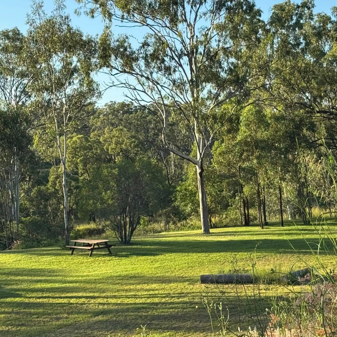 mount larcom tourist park kui parks picnic