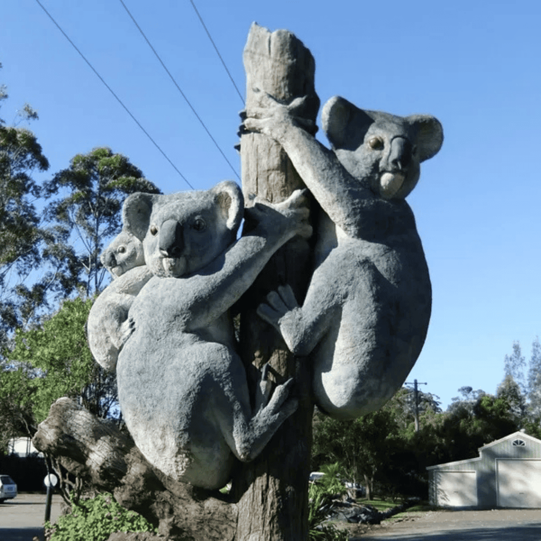 Billabong Zoo