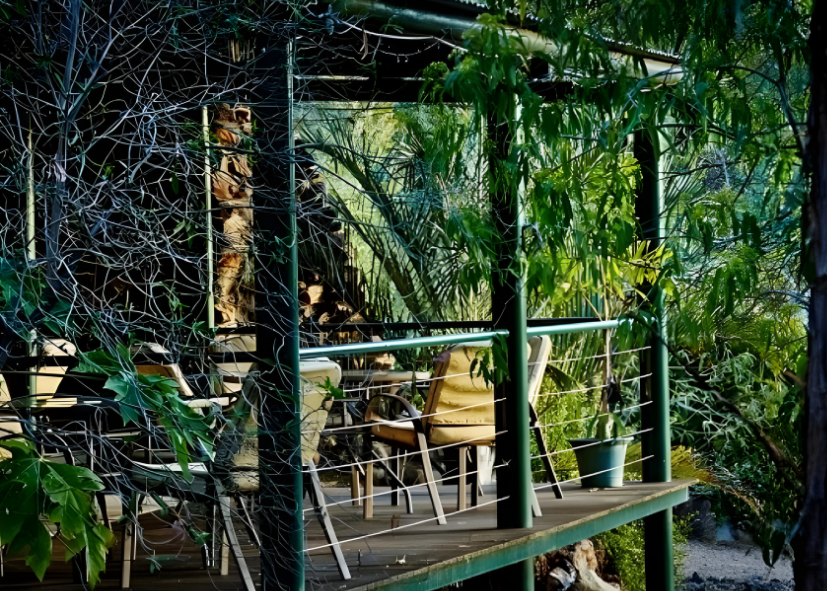 sapphire caravan and cabin park kui parks balcony with greenery
