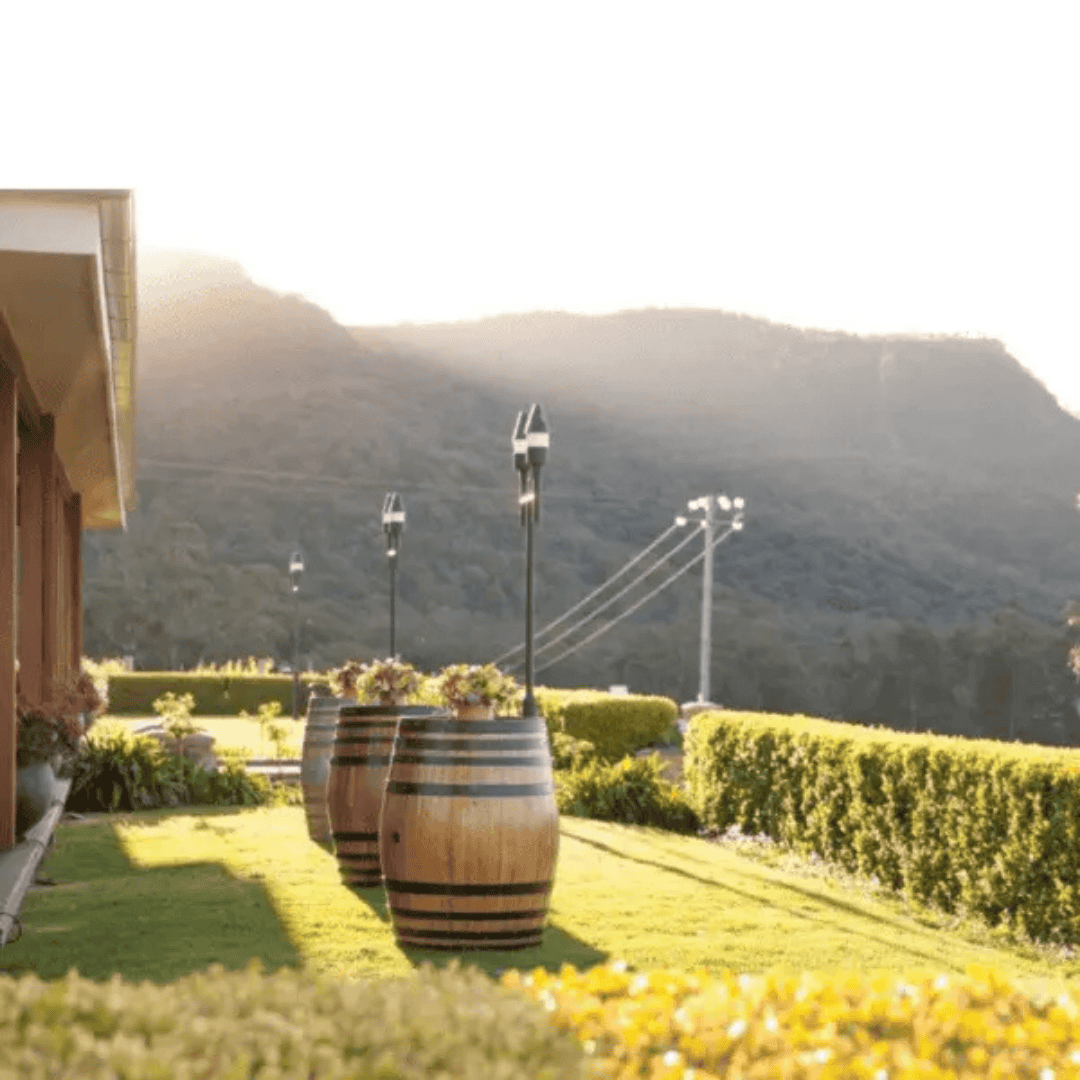 Audrey Wilkinson Vineyard