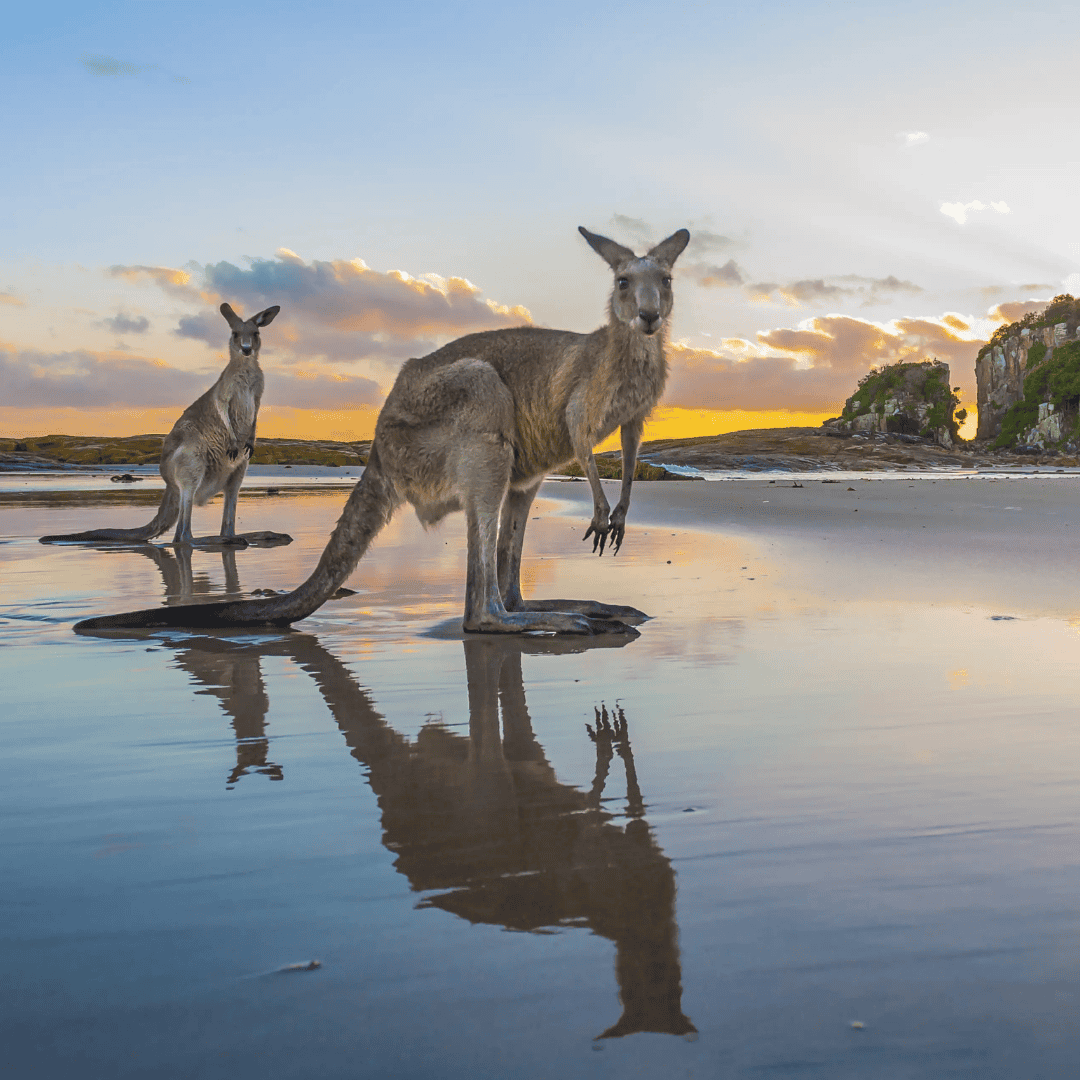 Port Macquarie