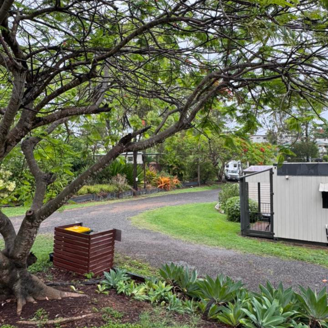 mount larcom tourist park kui parks driveway