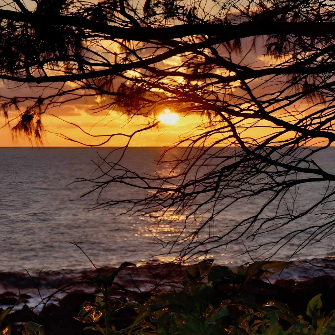 Bundaberg Oakwood Caravan Park Kui Parks Sunset