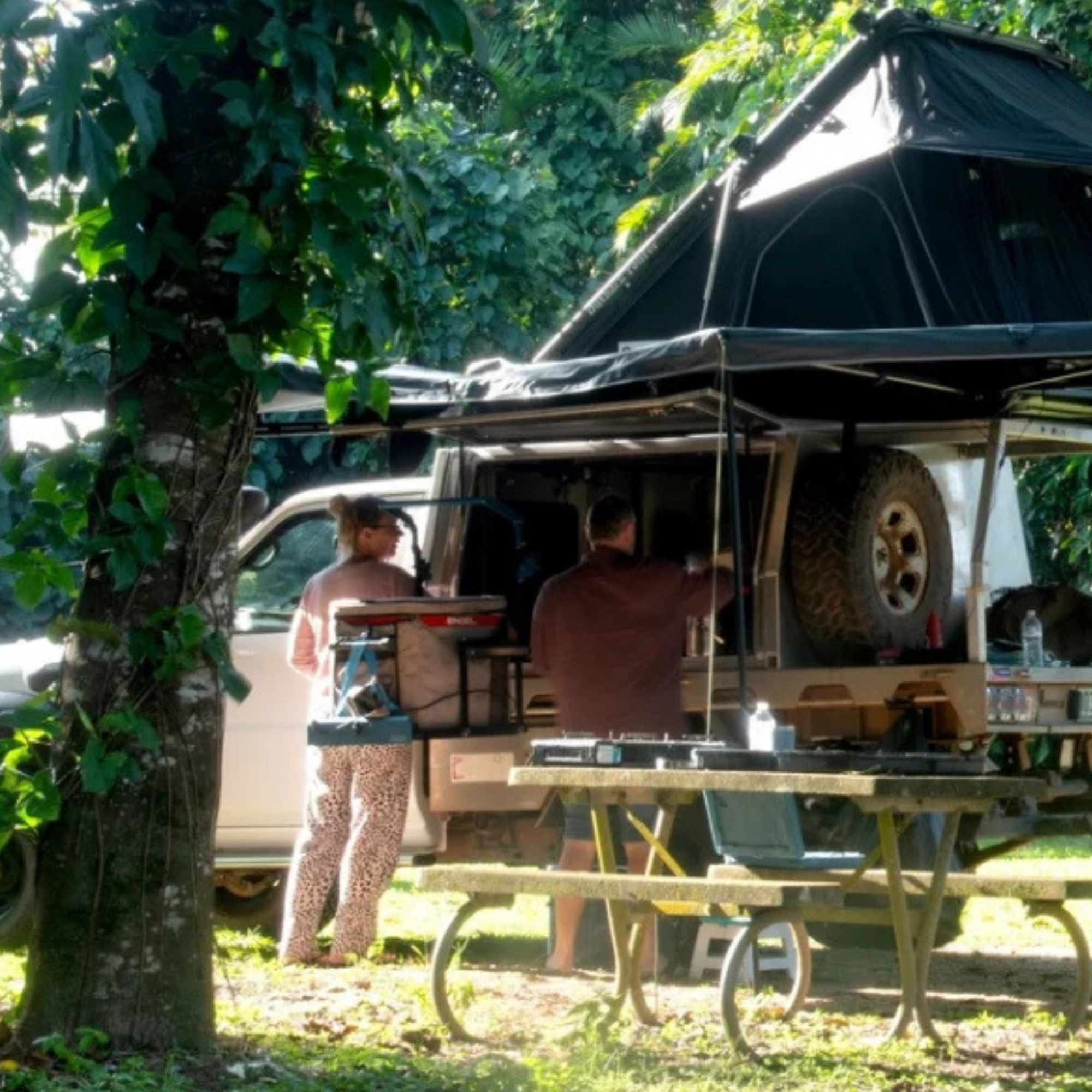 Queensland Road Trip Part 3 Kui Parks Cassowary Coast Tropical Hibiscus Caravan Park Camping