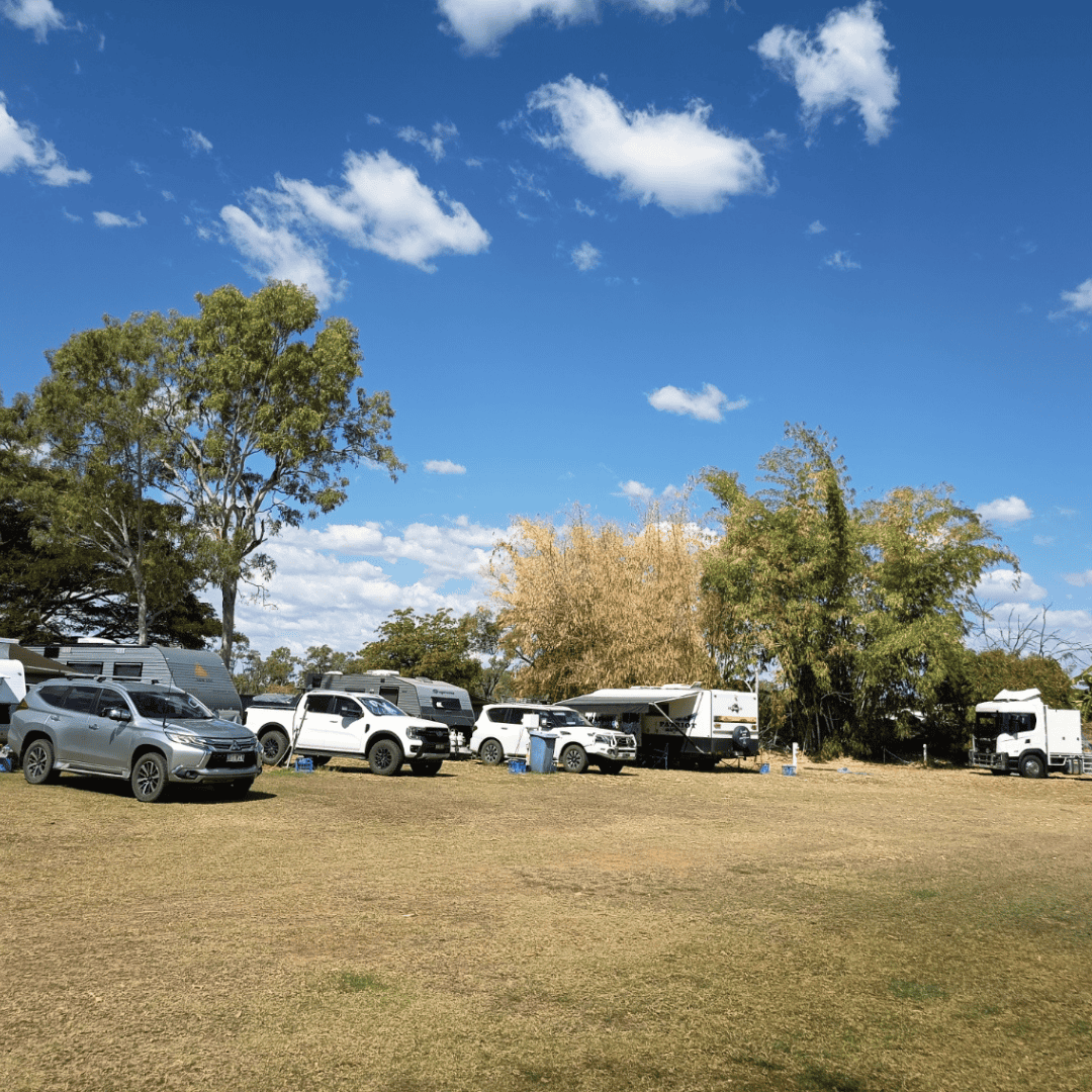 Planet Earth Adventures van site