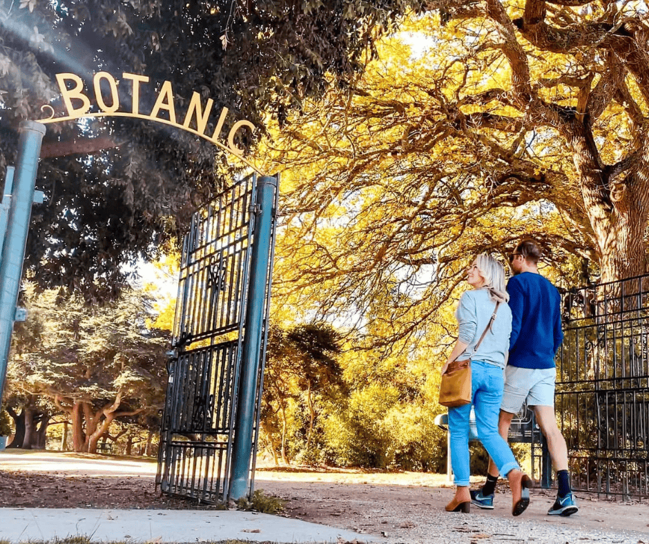 Lake Colac botanic gardens