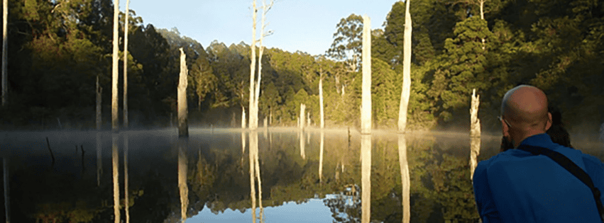 Platypus in the Wild Tour with Otway Eco Tours