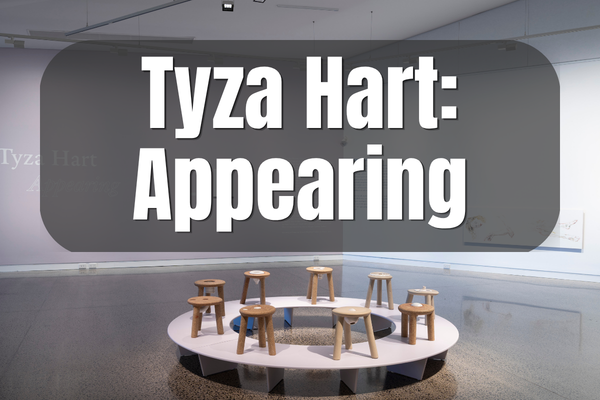 Tyza Hart: Appearing Art Gallery And Installation Standown Park Kui Parks