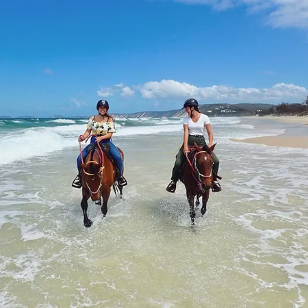 Rainbow Beach Horse Riding Tour