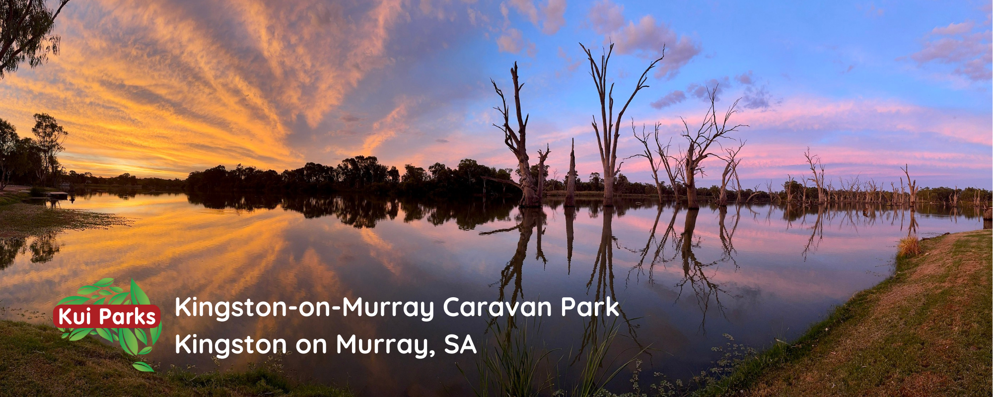 kingston on murray caravan park murray river road trip