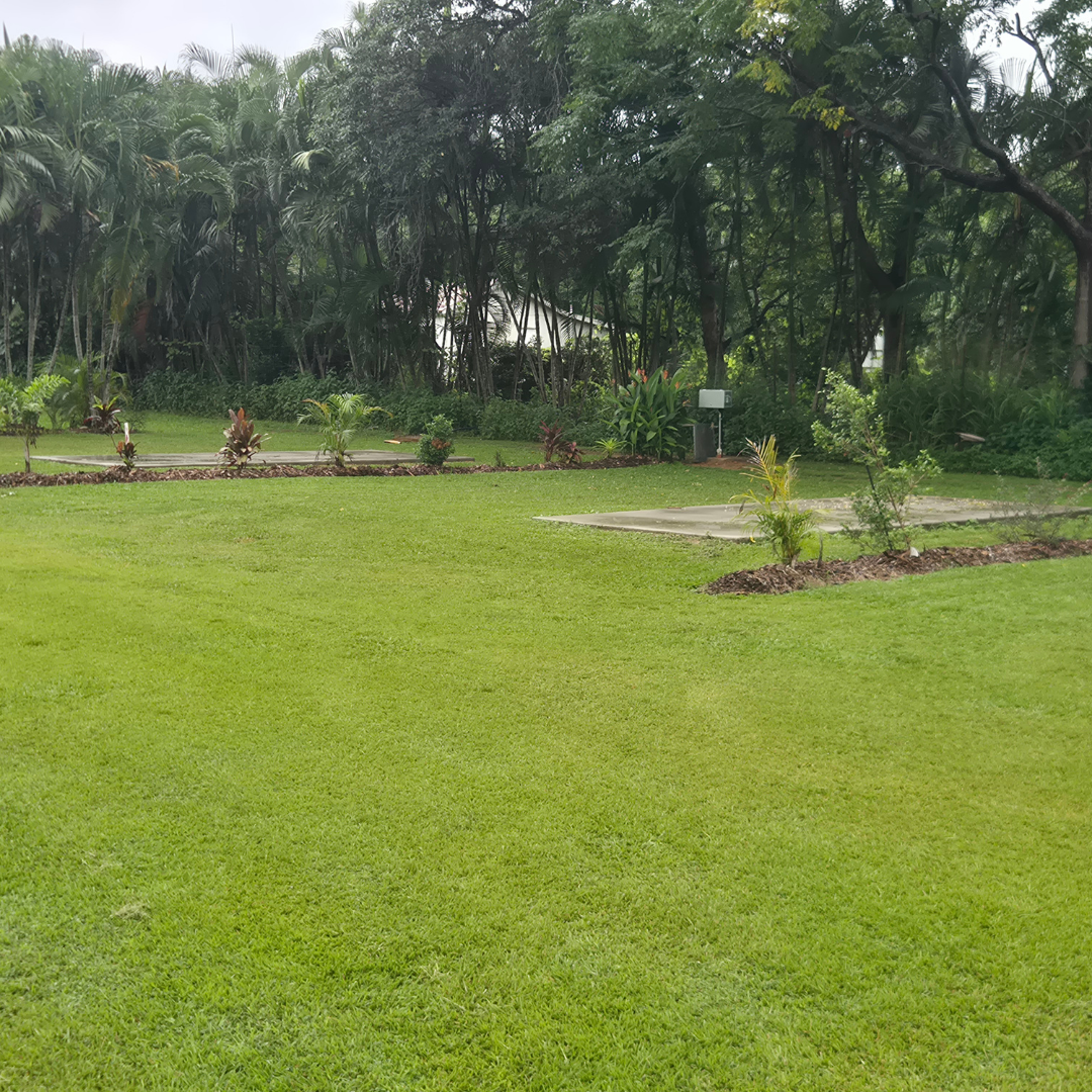 Crystal creek caravan park kui parks park new powered sites 