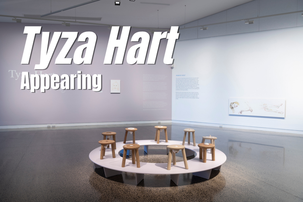 Tyza Hart: Appearing Art Gallery And Installation Standown Park Kui Parks