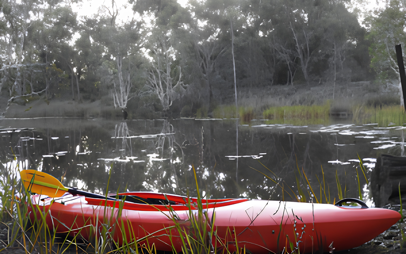 riverside burrum heads kui parks kayak