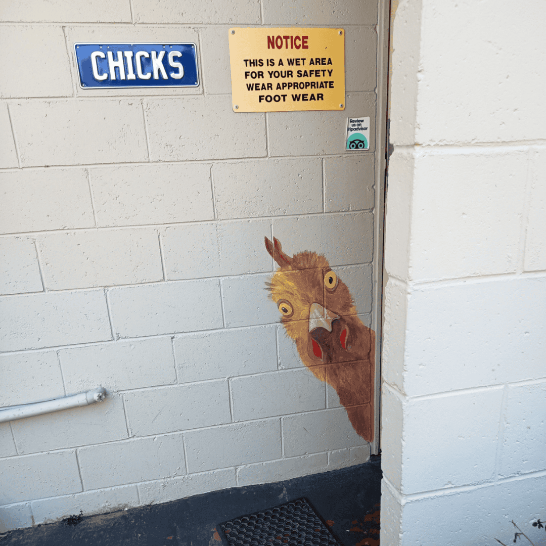 Mount Larcom Tourist Park Womans bathroom