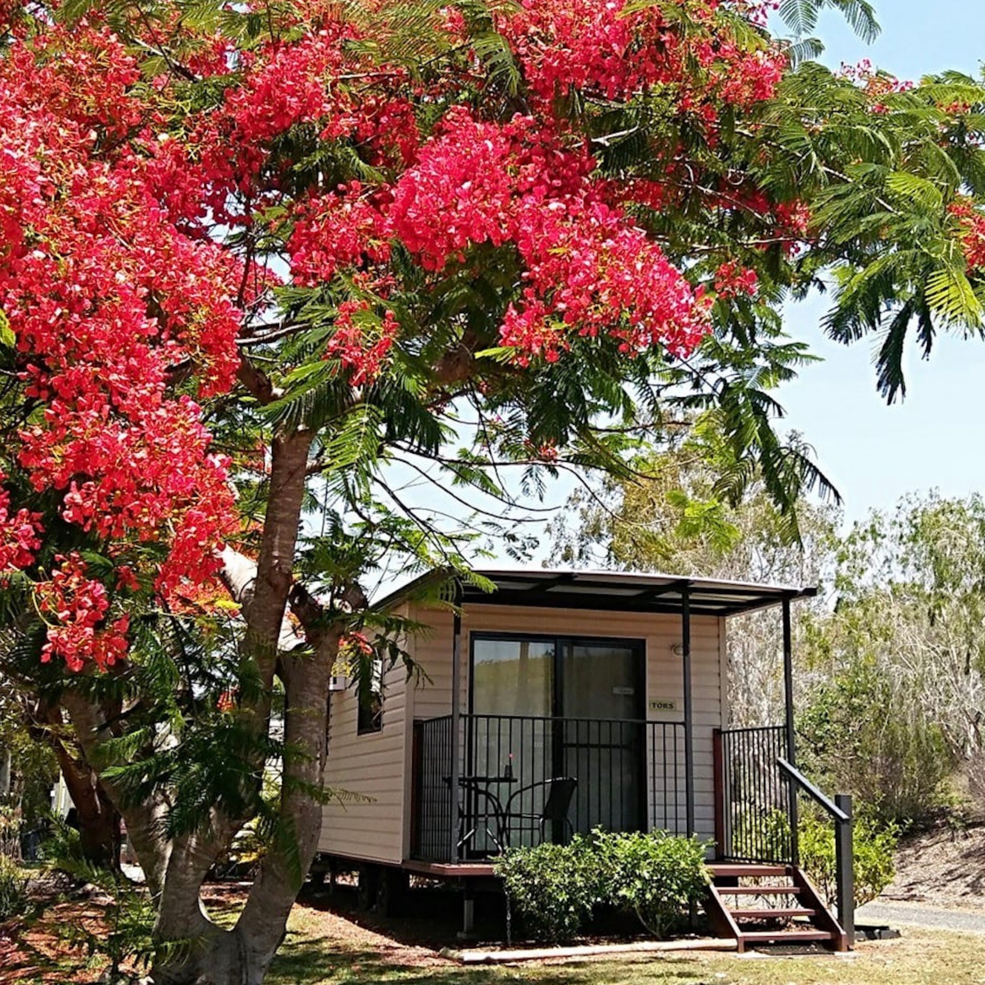 Queensland Road Trip Part 3 Kui Parks Mount Larcom Tourist Park Cabin