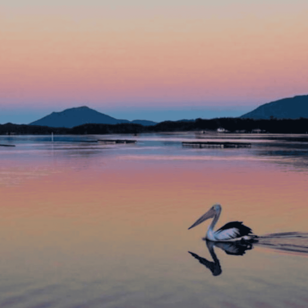 Diamond Waters Caravan Park Waterfront