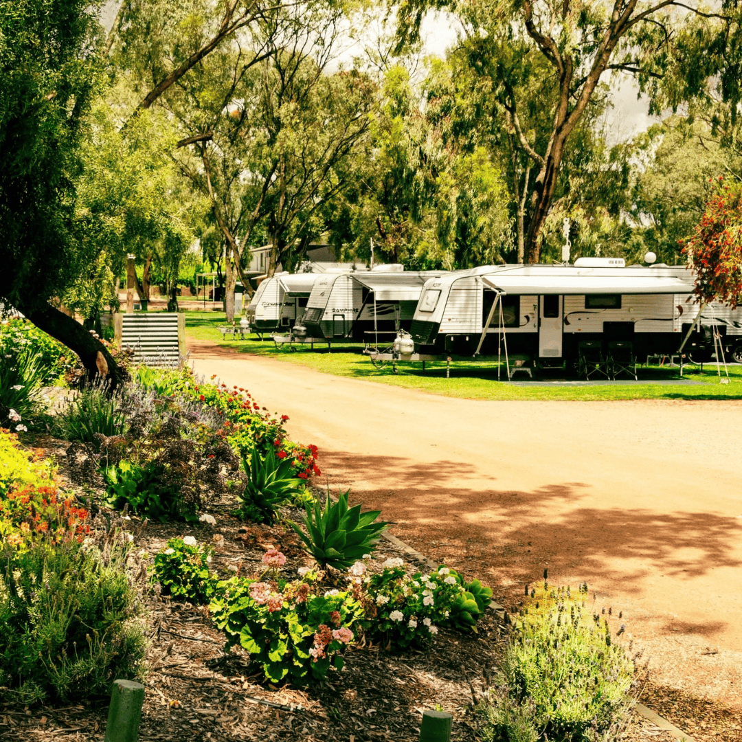 Kingston-On-Murray caravan site