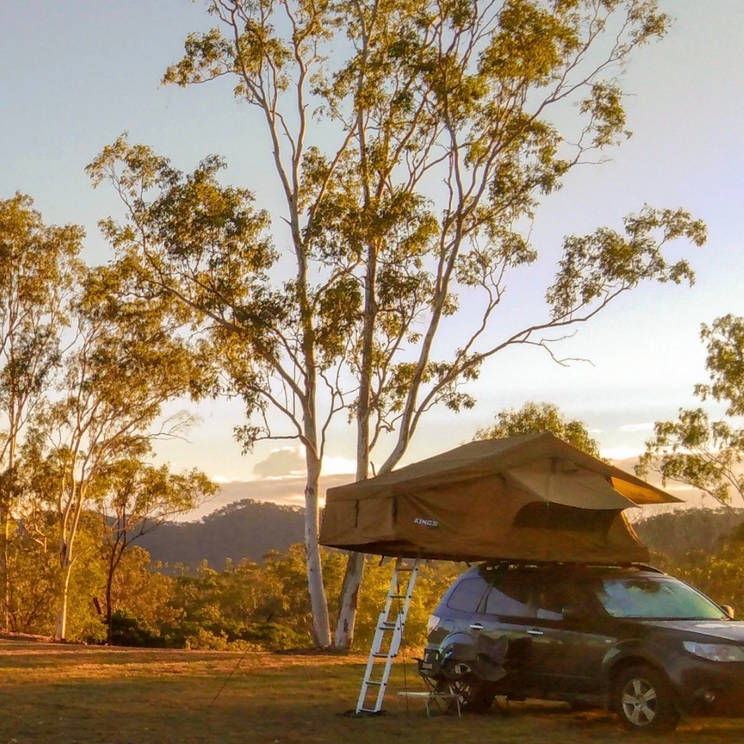 mount larcom tourist park kui parks camper