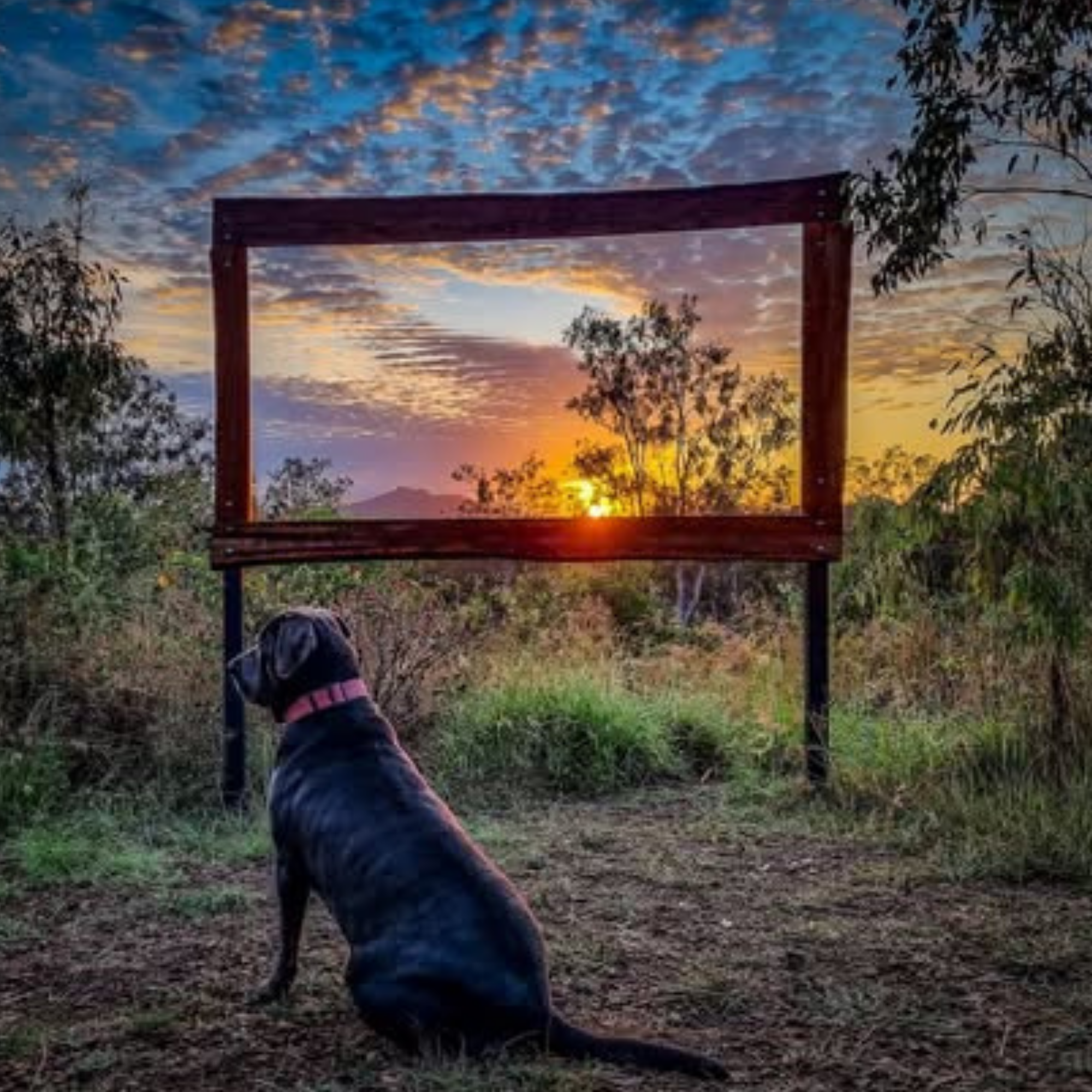Queensland Road Trip Part 3 Kui Parks Mount Larcom Tourist Park Sunset Pet Friendly