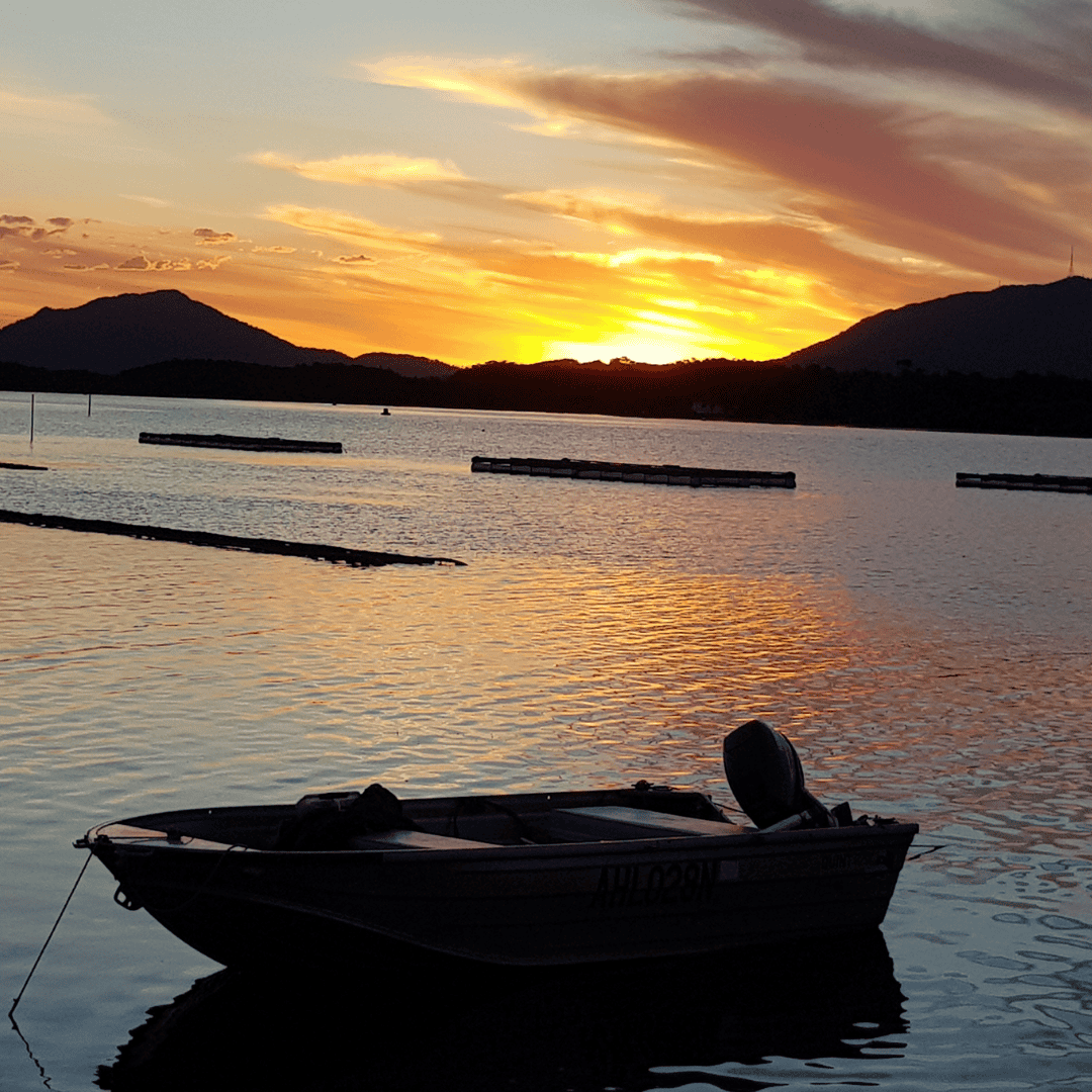 Diamond Waters Caravan Park Boat