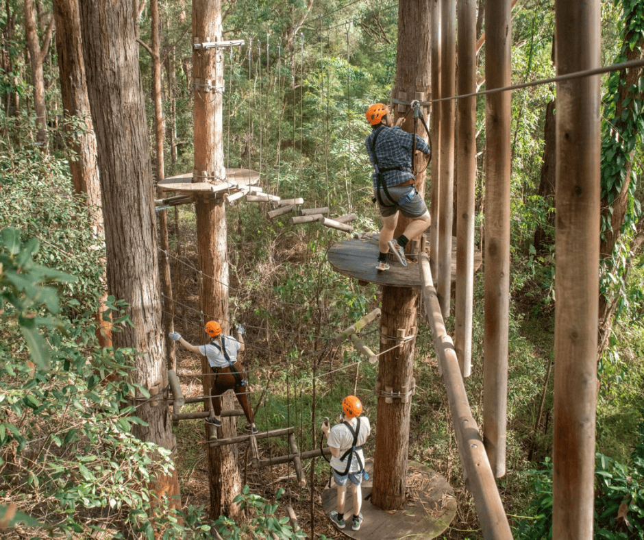Treetops Adventure Newcastle