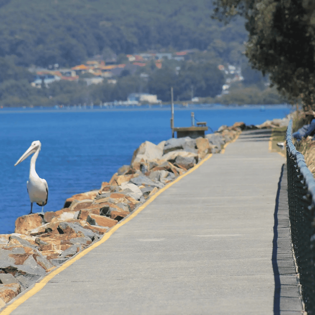 Laurieton River Walk