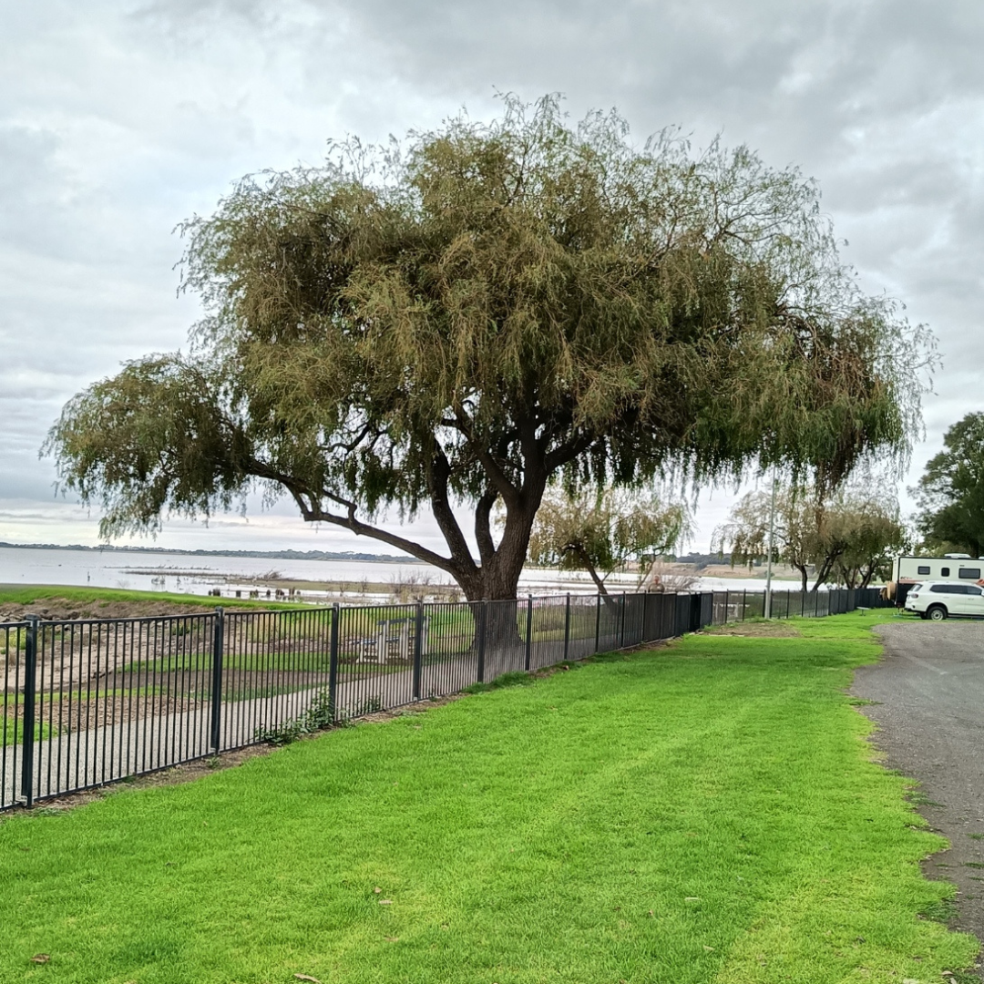 lake colac holiday park 2