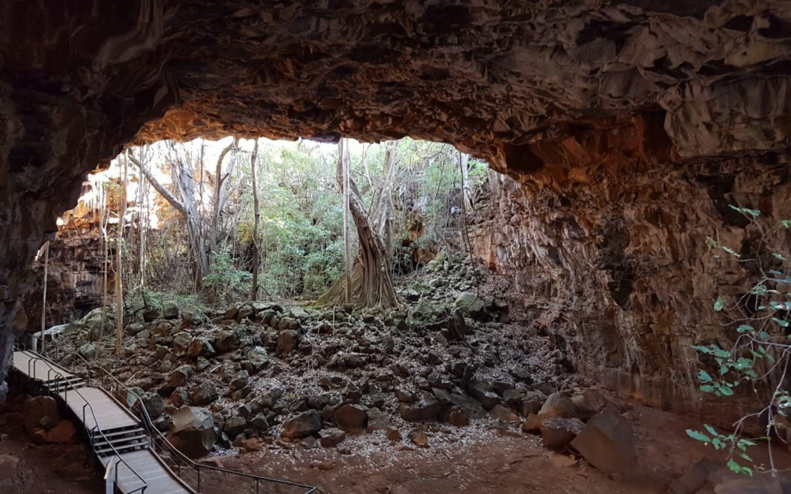 mount surprise caves