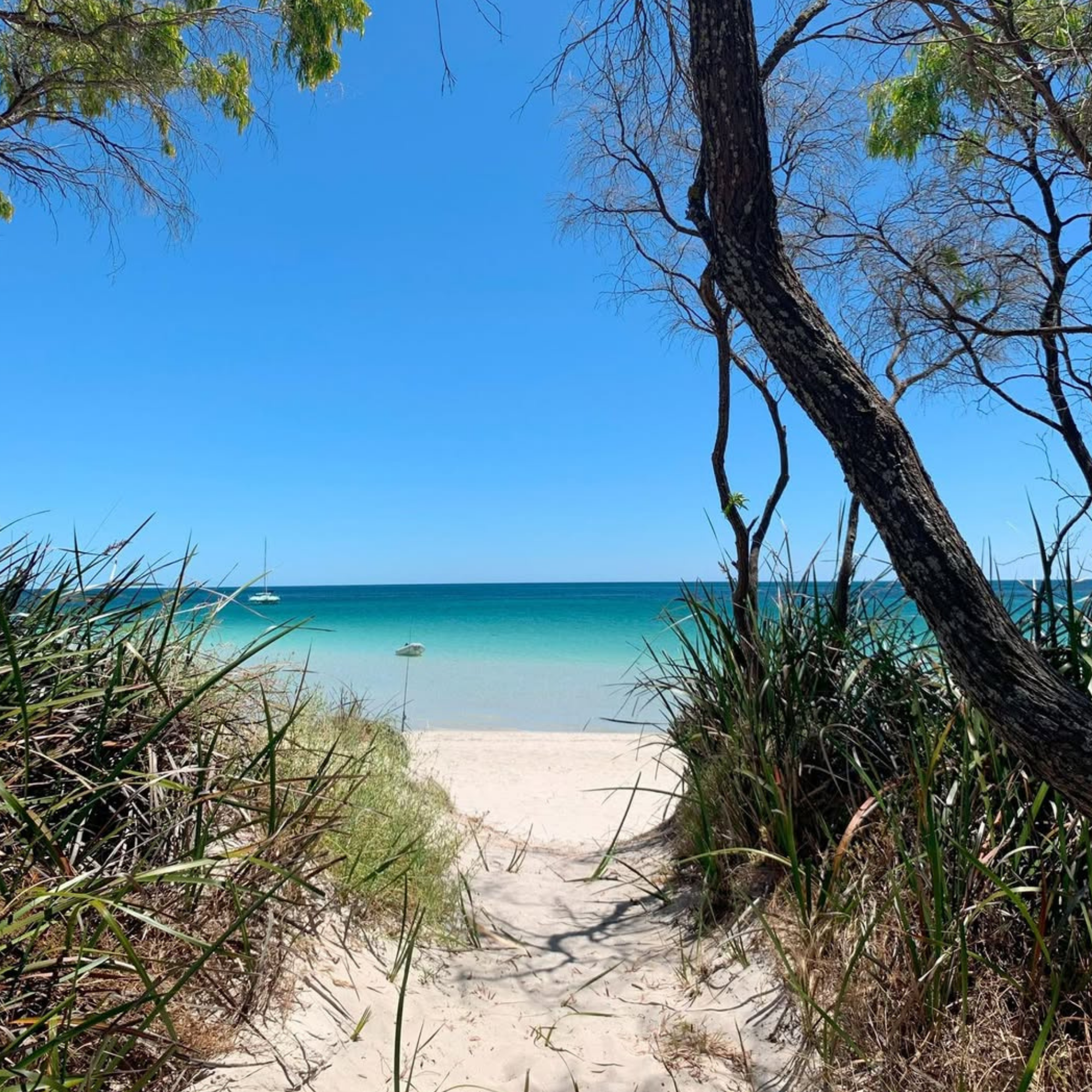 Four Seasons Holiday Park Beachfront