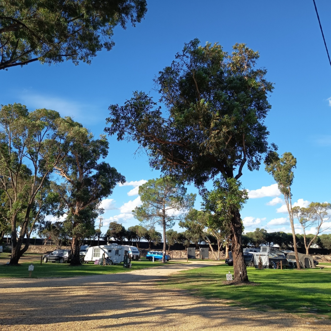 A general view of the park