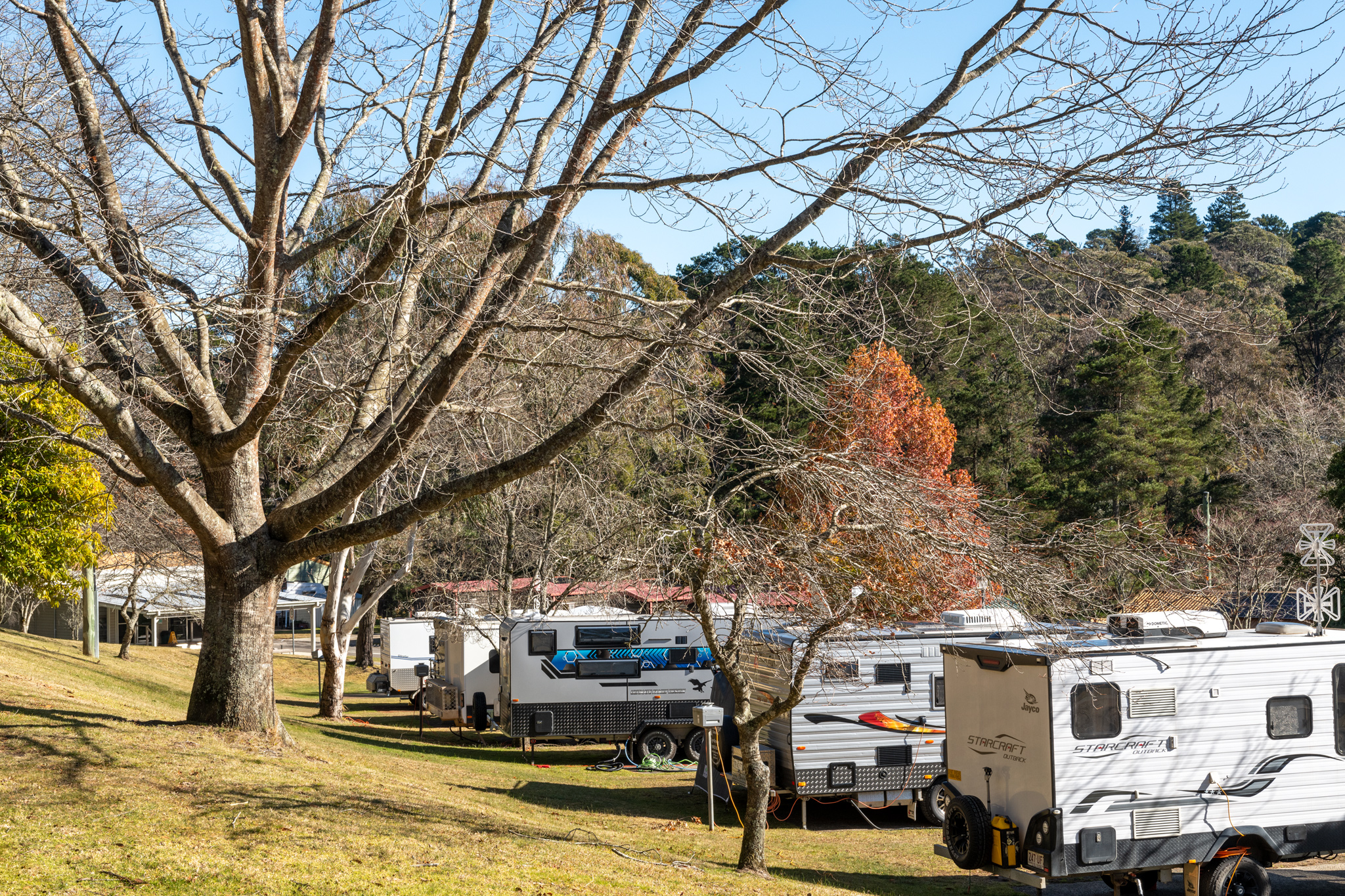 Blackheath Glen Tourist Park Kui Parks Caravan Sites