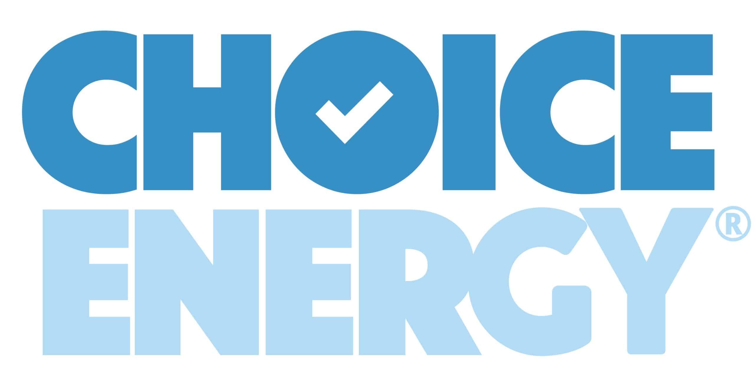 Partner Logo.