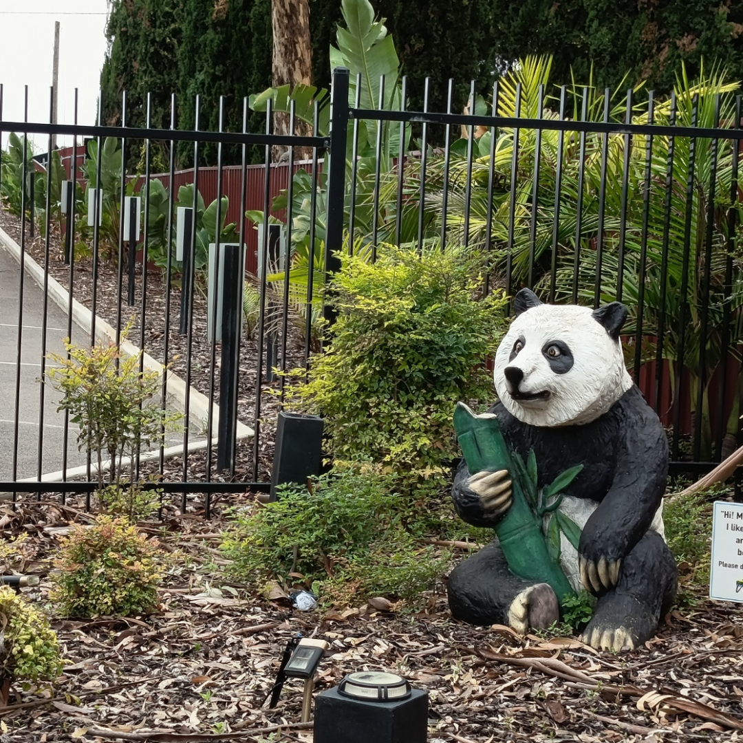 Hello to Cathy's Panda