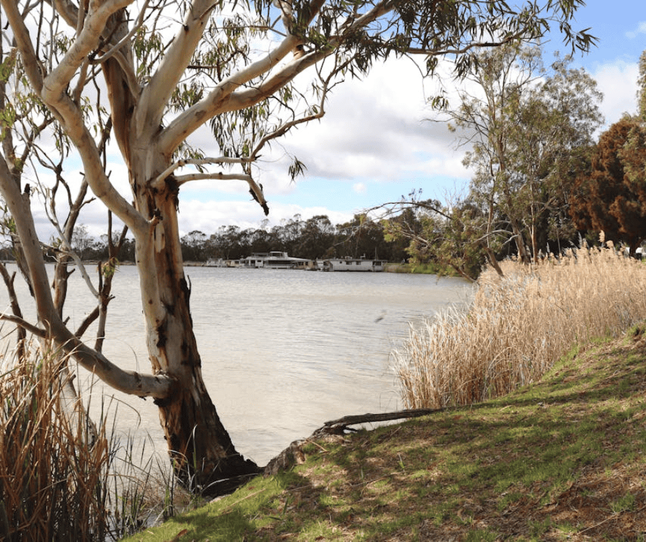 Kingston-On-Murray murray river