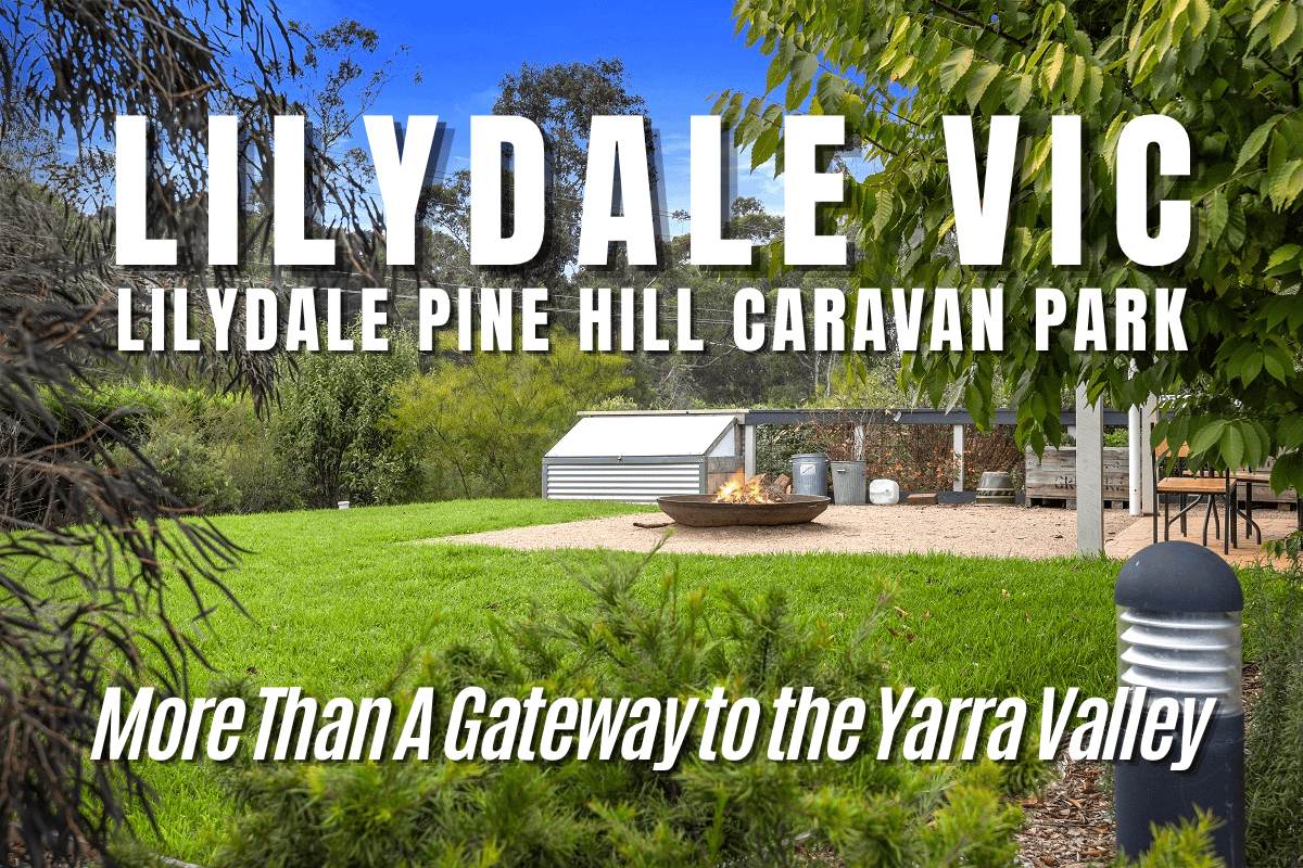 Lilydale Pine Hill Caravan Park