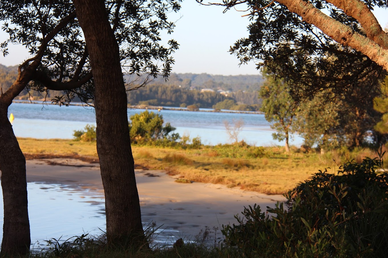 Moruya North Head Campground beach with jetty with soft pink sky
