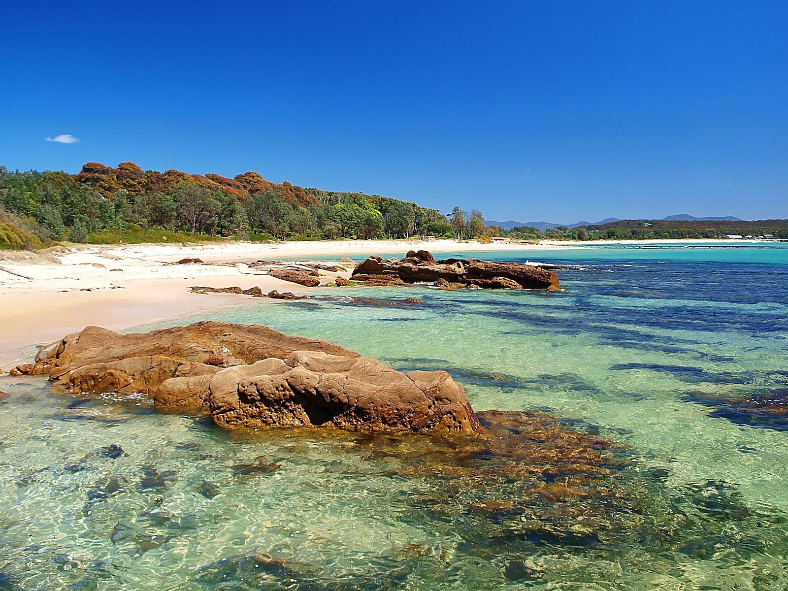 Moruya North Head Campground coastal shot of beach curving around sea with red rocks